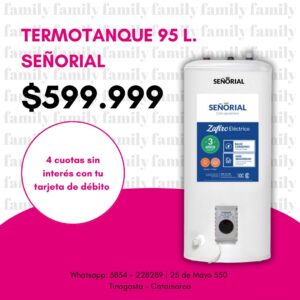 Termotanque 95 L.