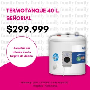 Termotanque 40 L.